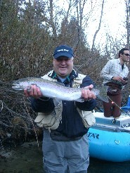 Trinity River Steelhead